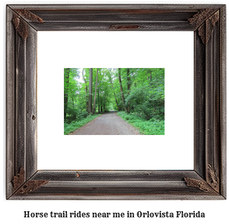 horse trail rides near me in Orlovista, Florida